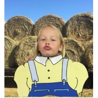 Patterson Farm logo - Similar company to Buyrite Solutions
