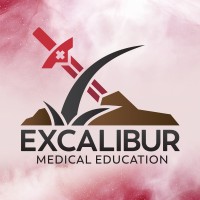 Excalibur Medical Education logo - Similar company to Leading Learning