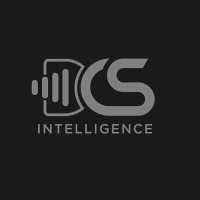 DCS Intelligence logo - Similar company to Prime Multservice