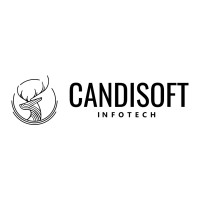 Candisoft Infotech logo - Similar company to Hb Technolab
