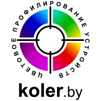 koler.by logo - Similar company to Senticode