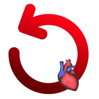 Project RESET NUS logo - Similar company to Mphil In Population Health Sciences (Phs) At The University Of Cambridge