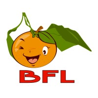 BFL Export logo - Similar company to Ultex Import -Export