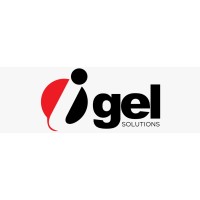 Igel solution llc logo - Similar company to Last Wave Technology