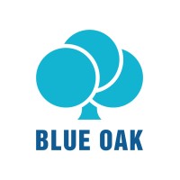 Blue Oak - Deep Tech Digital Health IoT logo - Similar company to Stone Edge Technologies, Inc.