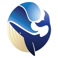Red Whale logo - Similar company to Redwhale