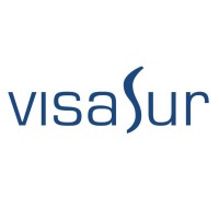 Visasur logo - Similar company to Plot