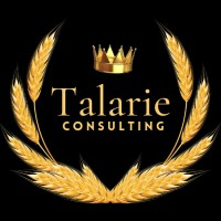 Talarie Consulting logo - Similar company to Jiji Solutions
