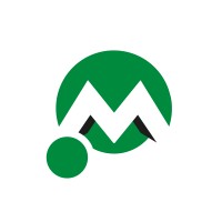 Torneria Montesi Srl logo - Similar company to Lg Technologies