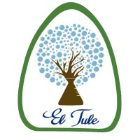 Productos de Limpieza 