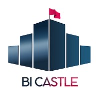 BI Castle Information Technologies logo - Similar company to Bianalytics