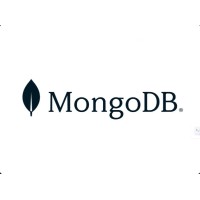 MongoDB Notes logo - Similar company to Dav Schools Network