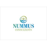 Nummus Consultants