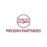 Prosim Partners logo - Similar company to Decisive Data Systems