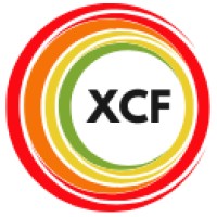 XCF - Integrated Control Framework logo - Similar company to Lumin