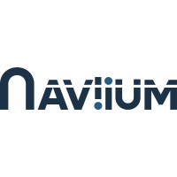NAViiUM Consultancy logo - Similar company to Netexec