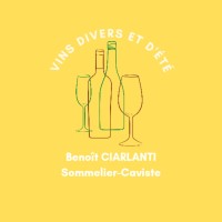 Vins divers et d'été logo - Similar company to Sarl Bcm