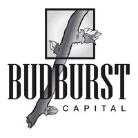 Budburst Capital logo - Similar company to Elite Cannabinoids Pty Ltd