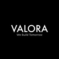 Valora Infotech logo - Similar company to Codespect Solution