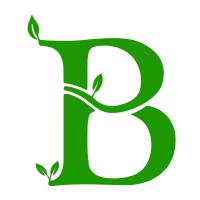 Baboolsoft logo - Similar company to Rovan Software Solutions Private Limited