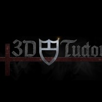 3D Tudor logo - Similar company to Stylized World