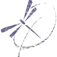 Nola Svoboda - Graphic Design & Digital Marketing logo - Similar company to Dam Pros