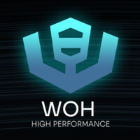 WOH Tech logo - Similar company to Woh