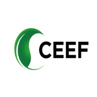 SINO-CEEF Capital logo - Similar company to Kbg Fund Group