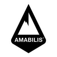 AMABILIS logo - Similar company to Applied Industrial Systems