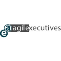 Agile Executives logo - Similar company to Sbi Software Beratungs-Institut Ag