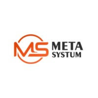 Meta Systum logo - Similar company to Meta Systems
