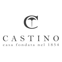 CASTINO logo - Similar company to Castino