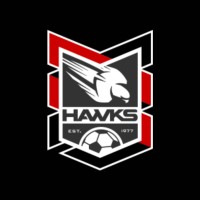 Holland Park Hawks FC logo - Similar company to Hyperdot