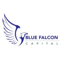 Blue Falcon Capital logo - Similar company to Jdj Charitable Foundation