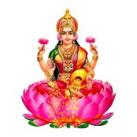 Dhanlaxmi Printing Works logo - Similar company to Sree Hari Electricals