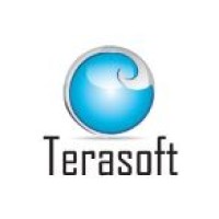 Terasoft Technologies Pvt Ltd logo - Similar company to Terasoft