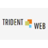 Trident Web Infoservices Pvt. Ltd. logo - Similar company to Constrobazaar Pvt Ltd