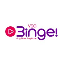 VSG Binge logo - Similar company to Nimbley