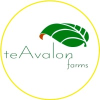 teAvalon Farms logo - Similar company to M Farms