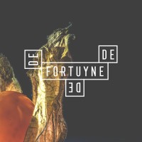 De Fortuyne logo - Similar company to Respo Group