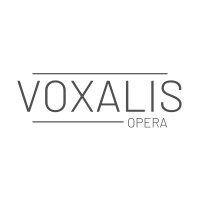 Voxalis Opera logo - Similar company to Performance Space
