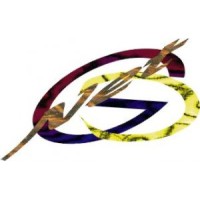 GCNET Srls logo - Similar company to Gc Net Provedor