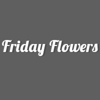 Friday Flowers & Retail Co logo - Similar company to Value & Growth Advisory