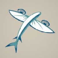 FLYING FISH AIRCRAFT PARTS, LLC logo - Similar company to Flying Right Aviation