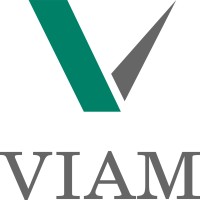 Viam Technologies logo - Similar company to Ecustom Solutions