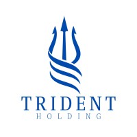 Trident investments holding logo - Similar company to Bvc Group