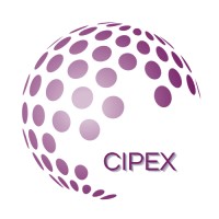 Cipex Consultora logo - Similar company to Dlc Muchellini