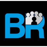 Behavioural Response logo - Similar company to Principles Analytics