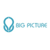 Big Picture Digital