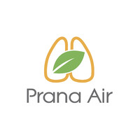 Prana Air logo - Similar company to Purelogic Labs